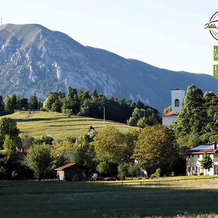 Guesthouse Idila Pod Nanosom Senozece Bagian luar foto