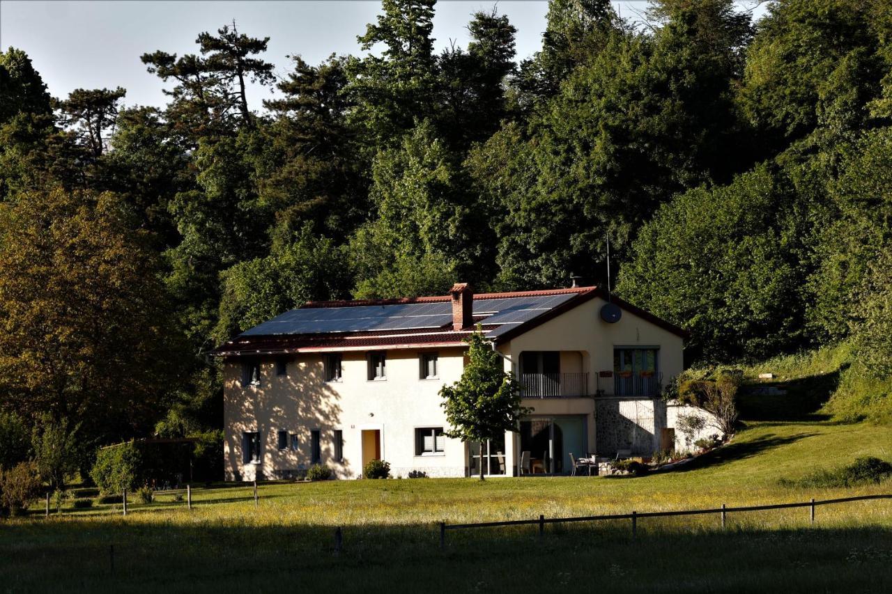 Guesthouse Idila Pod Nanosom Senozece Bagian luar foto