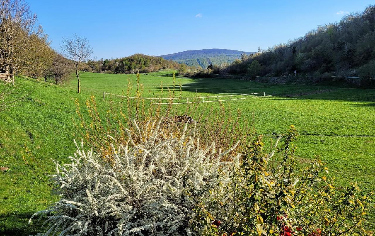 Guesthouse Idila Pod Nanosom Senozece Bagian luar foto