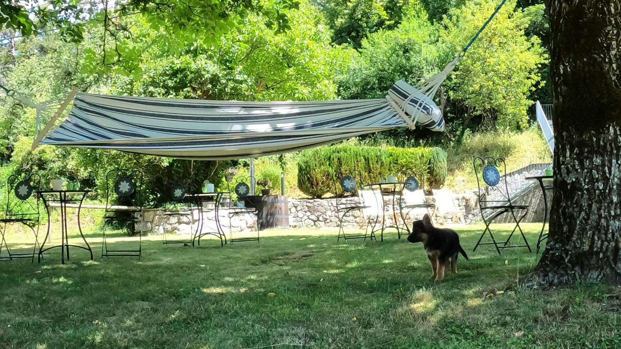 Guesthouse Idila Pod Nanosom Senozece Bagian luar foto