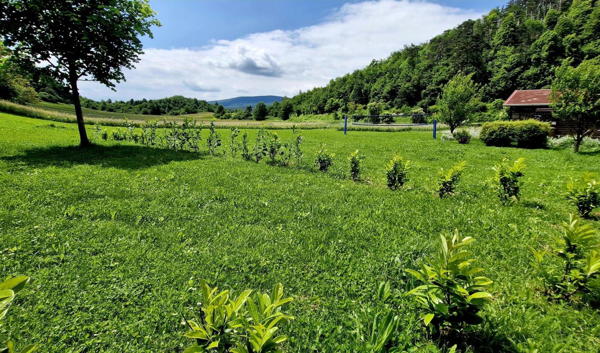 Guesthouse Idila Pod Nanosom Senozece Bagian luar foto